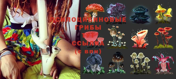 дживик Алексин
