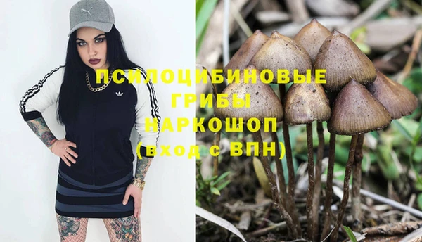 каннабис Алексеевка