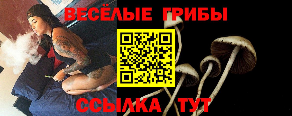 Псилоцибиновые грибы MAGIC MUSHROOMS Алушта