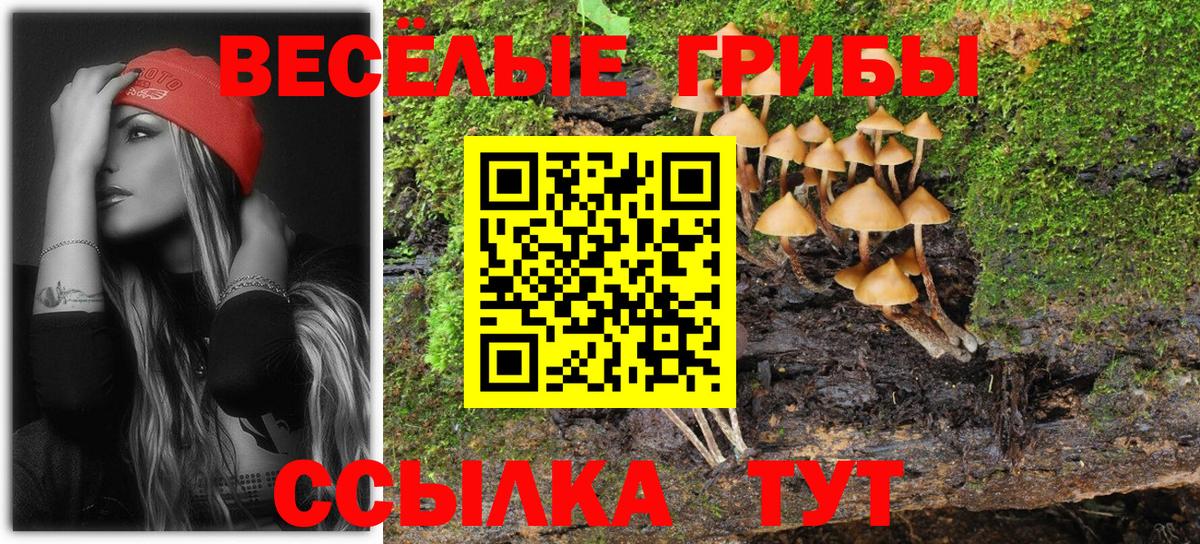 Алушта  Галлюциногенные грибы мицелий  Вход с VPN 